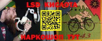 шишки Берёзовский