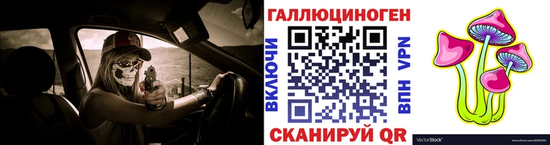 Псилоцибиновые грибы Psilocybe  Вязники 