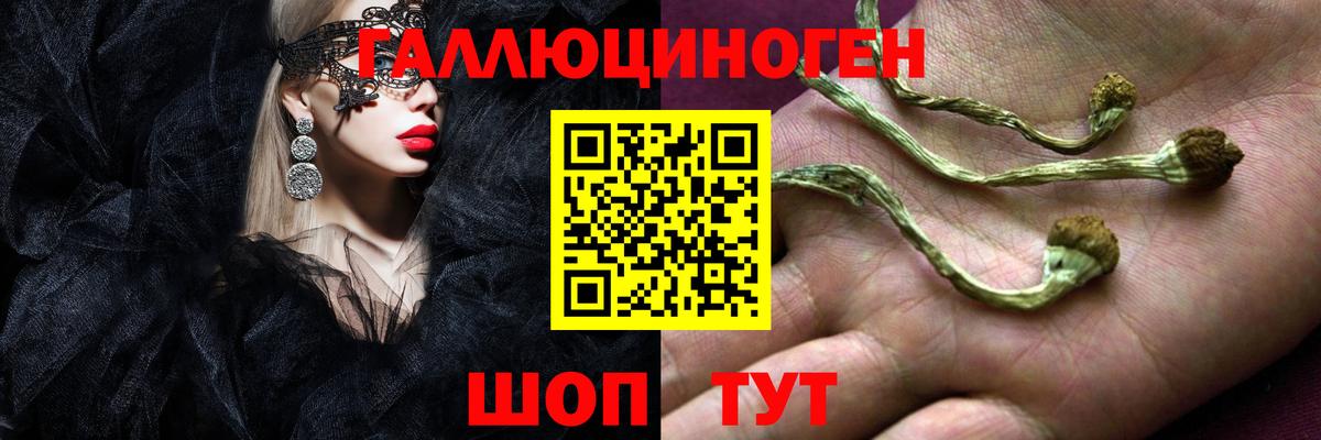 Псилоцибиновые грибы мицелий  Псилоцибиновые грибы Magic Shrooms  Вязники  Вход с VPN 